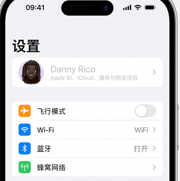 镇宁appleID维修服务iPhone设置中Apple ID显示为灰色无法使用 