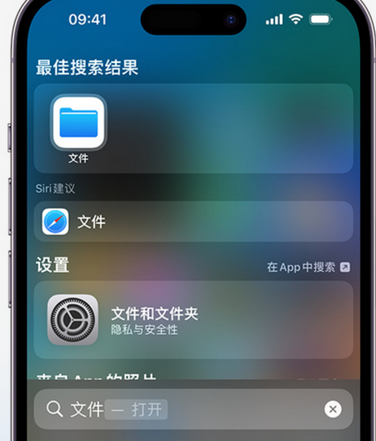 镇宁apple维修中心分享iPhone文件应用中存储和找到下载文件 