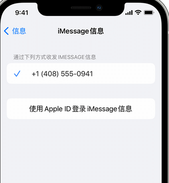 镇宁apple维修iPhone上无法正常发送iMessage信息