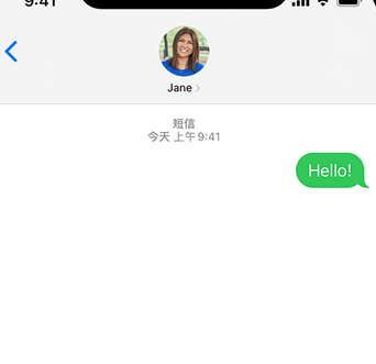 镇宁apple维修iPhone上无法正常发送iMessage信息