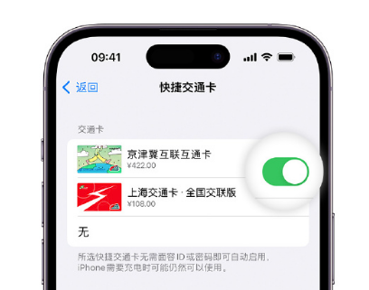 镇宁apple维修点分享iPhone上更换Apple Pay快捷交通卡手绘卡面 