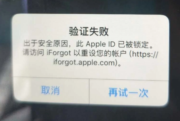 镇宁iPhone维修分享iPhone上正常登录或使用AppleID怎么办 