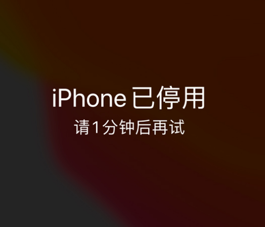 镇宁苹果手机维修分享:iPhone 显示“不可用”或“已停用”怎么办？还能保留数据吗？ 