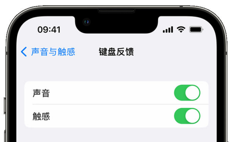 镇宁苹果手机维修分享iPhone 14触感键盘使用方法 