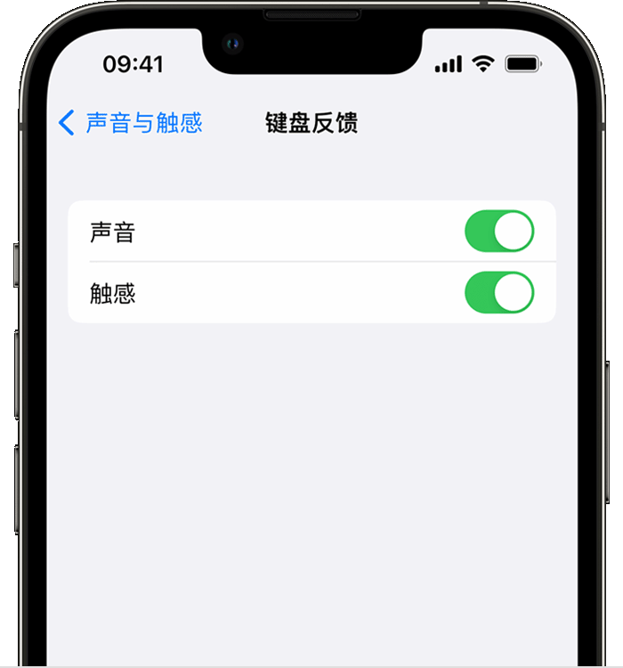 镇宁苹果14维修店分享如何在 iPhone 14 机型中使用触感键盘 