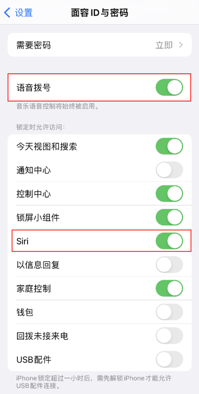 镇宁苹果维修网点分享不解锁 iPhone 的情况下通过 Siri 拨打电话的方法 