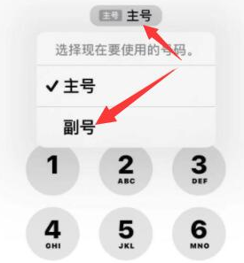 镇宁苹果14维修店分享iPhone 14 Pro Max使用副卡打电话的方法 