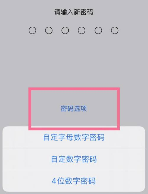 镇宁苹果14维修分享iPhone 14plus设置密码的方法 