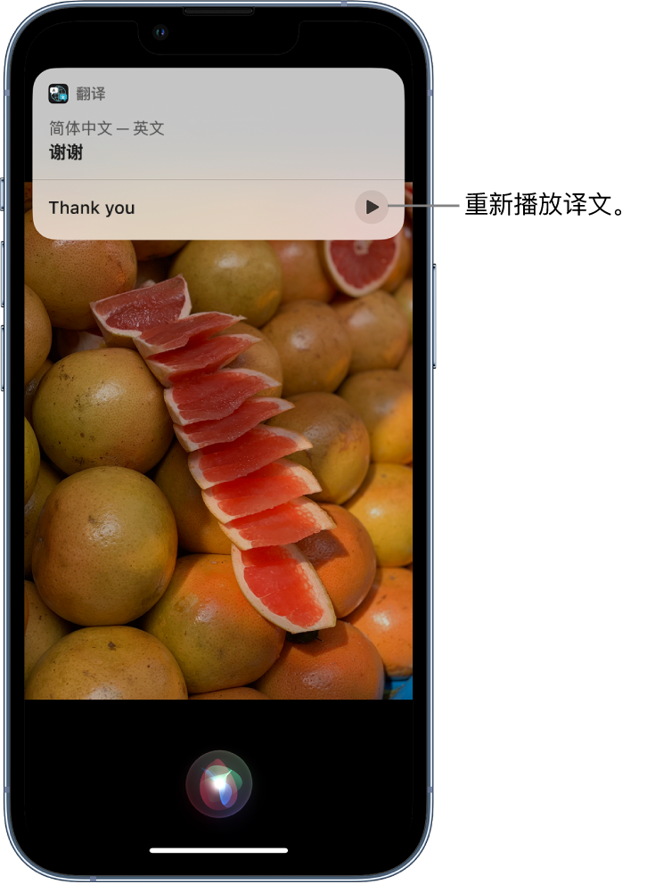 镇宁苹果14维修分享 iPhone 14 机型中使用 Siri：了解 Siri 能帮你做什么 