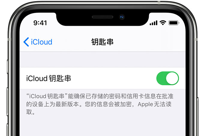 镇宁苹果手机维修分享在 iPhone 上开启 iCloud 钥匙串之后会储存哪些信息 