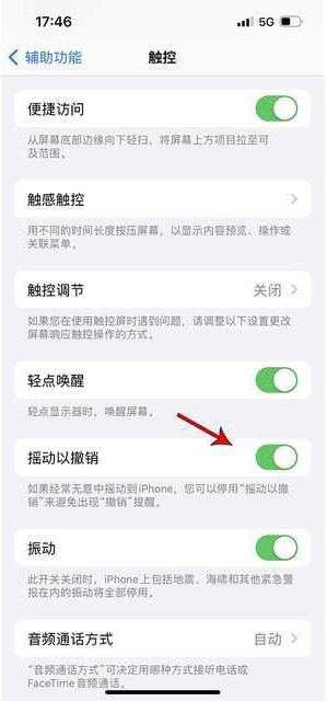 镇宁苹果手机维修分享iPhone手机如何设置摇一摇删除文字 