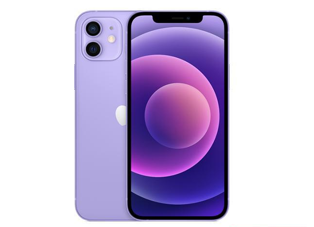 镇宁苹果手机维修分享现阶段要不要入手紫色版iPhone12 