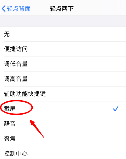 镇宁苹果手机维修分享iPhone12如何启用双击截屏 